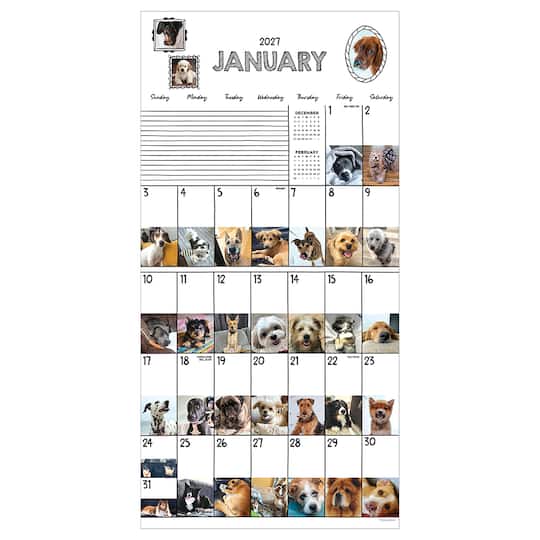 2027 Dog-A-Day Wall Calendar